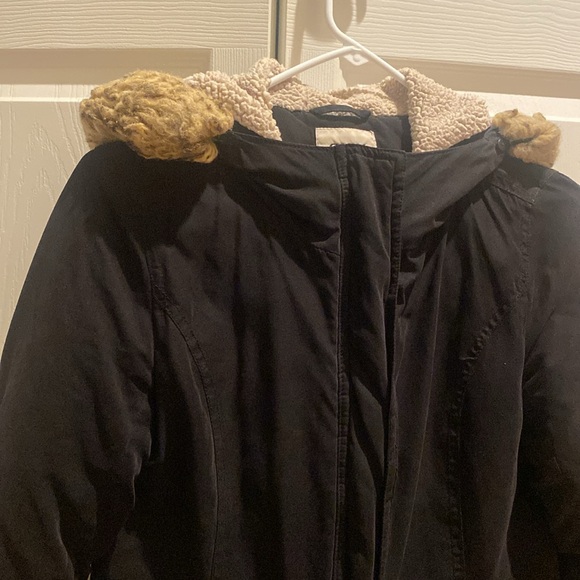 Jacket - Picture 8 of 8